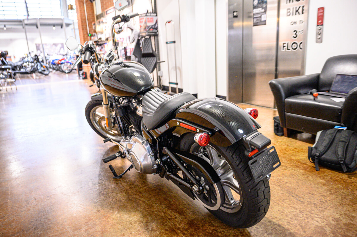 Softail® Standard