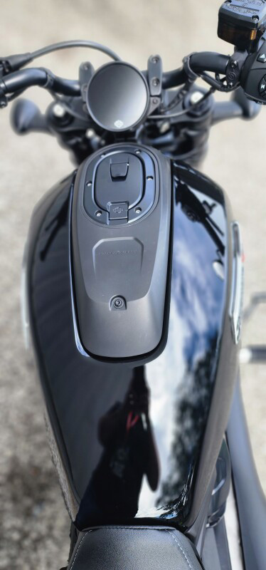 Sportster® S