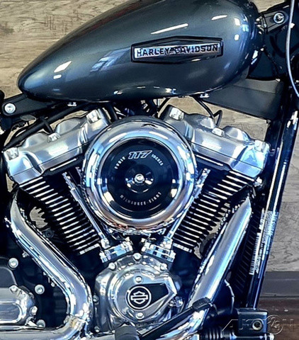 Street Bob®