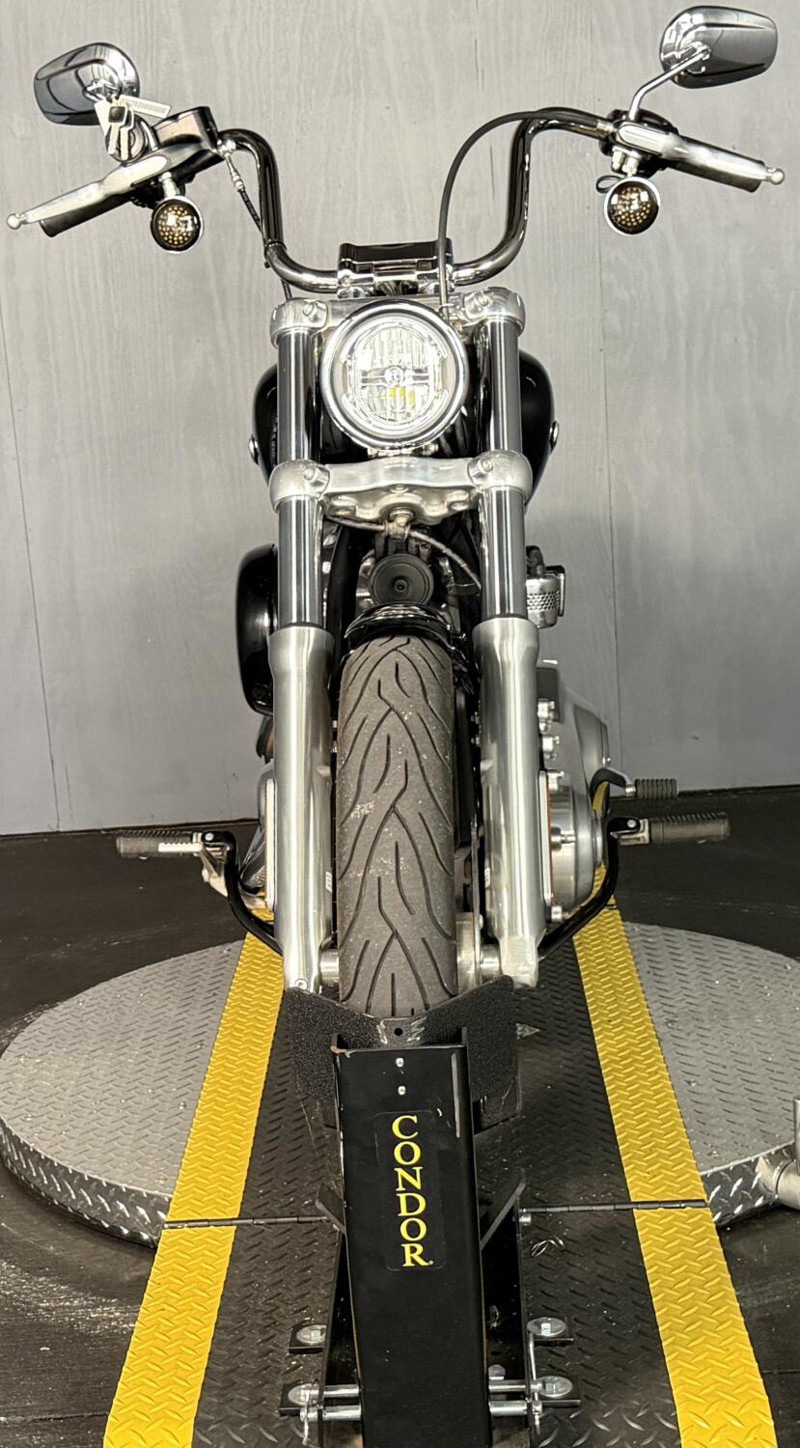 Softail® Standard