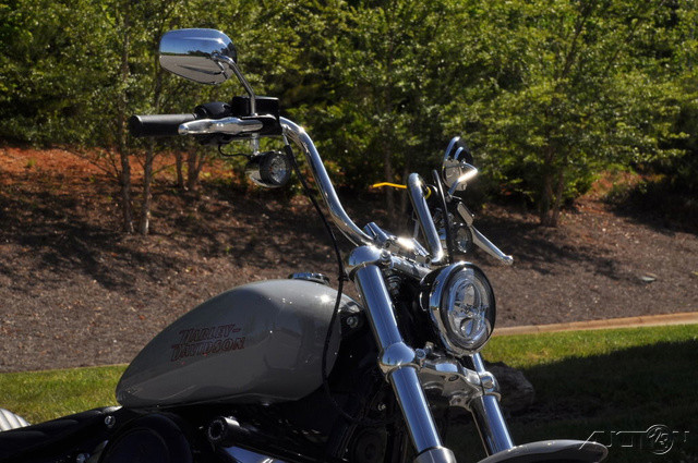 Softail® Standard