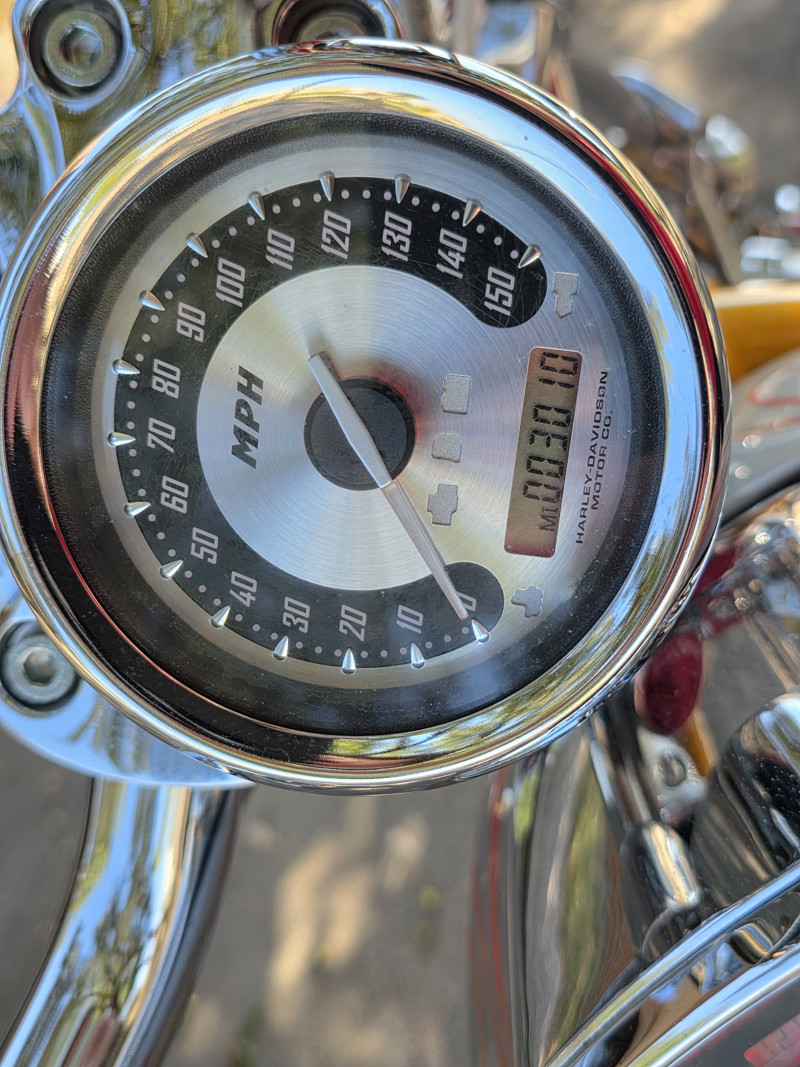 Screamin'  Eagle® V-Rod®