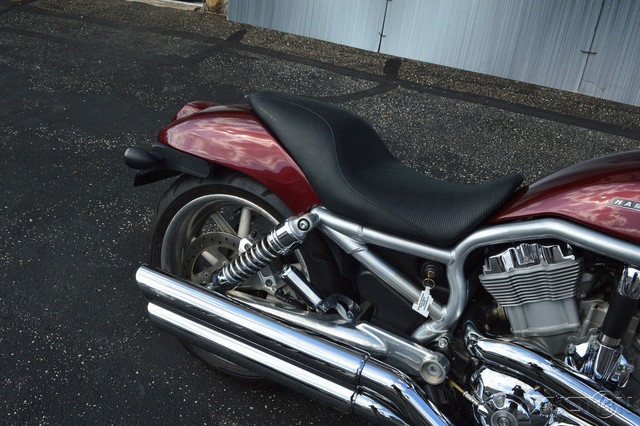 V-Rod®