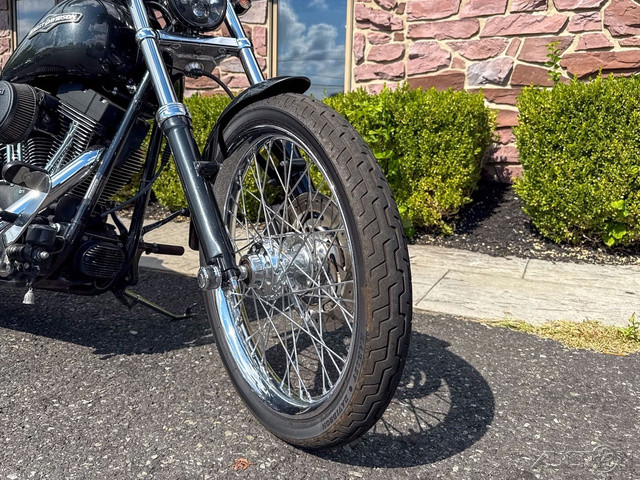 Softail® Night Train®