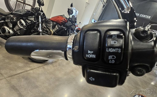 Softail® Night Train®