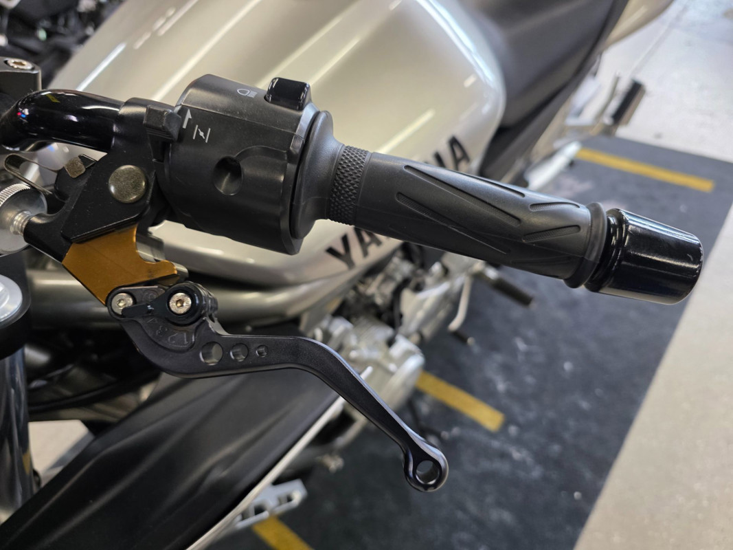 FZ1