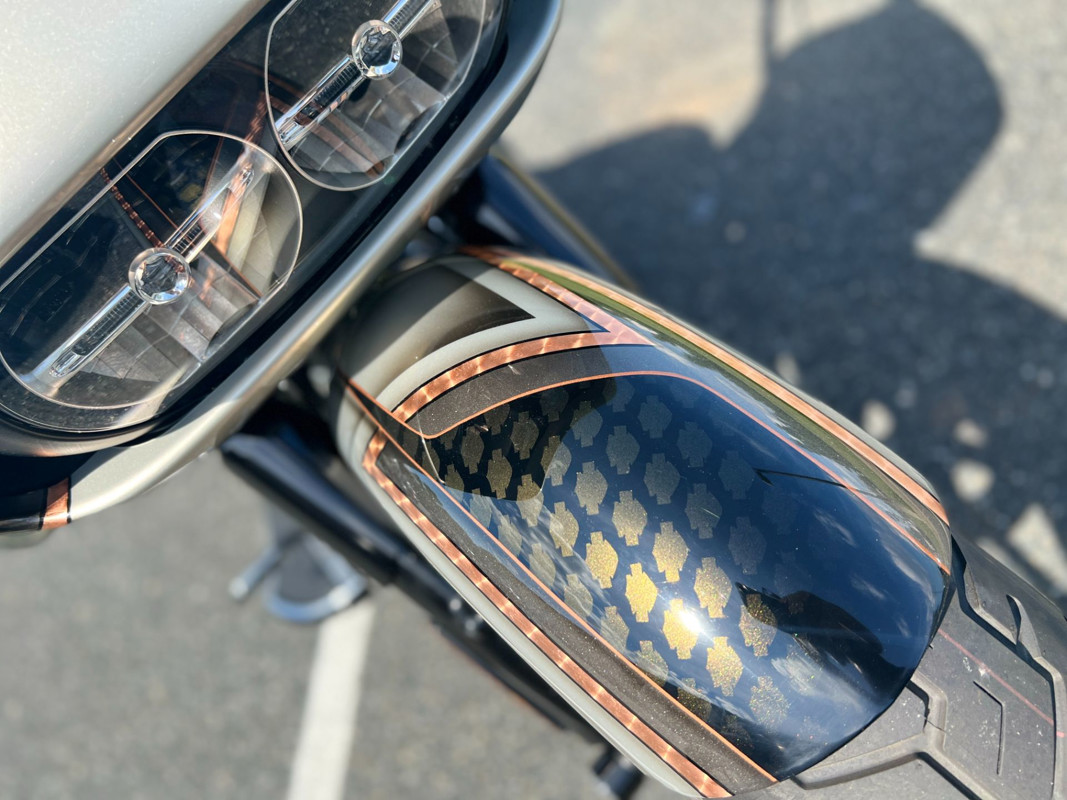 Road Glide® Special