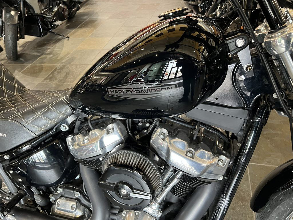 Softail® Standard