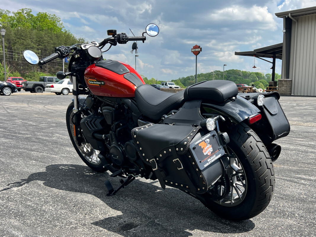 Nightster Special