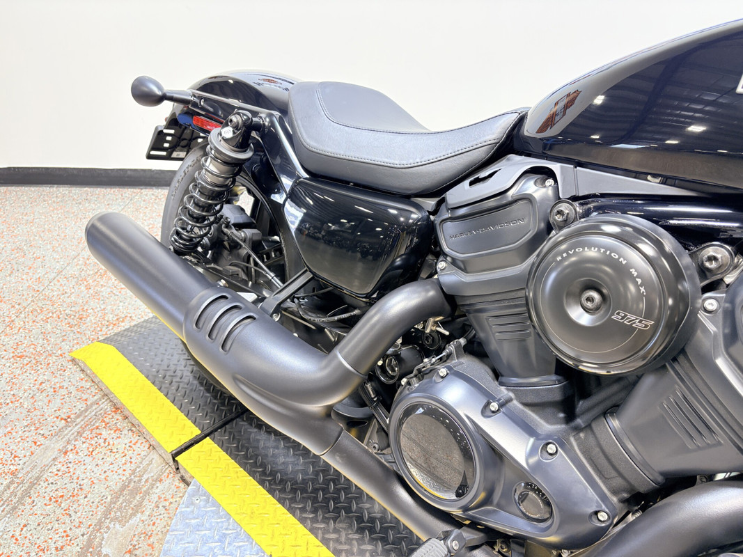 Nightster