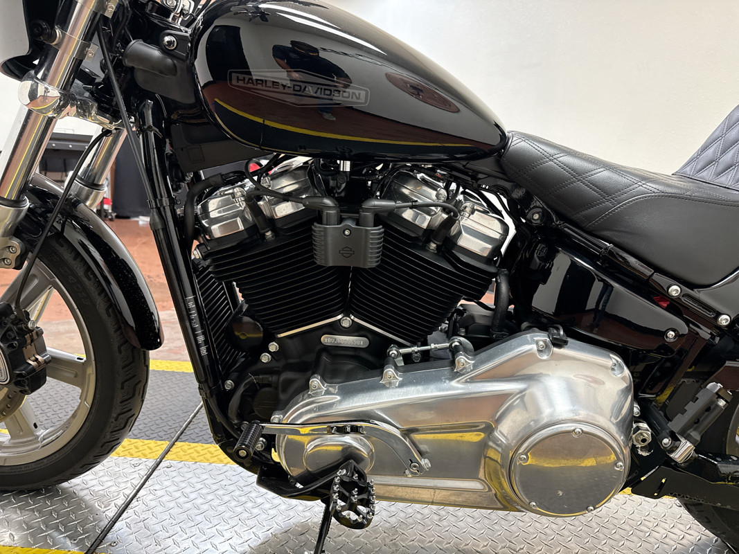 Softail® Standard