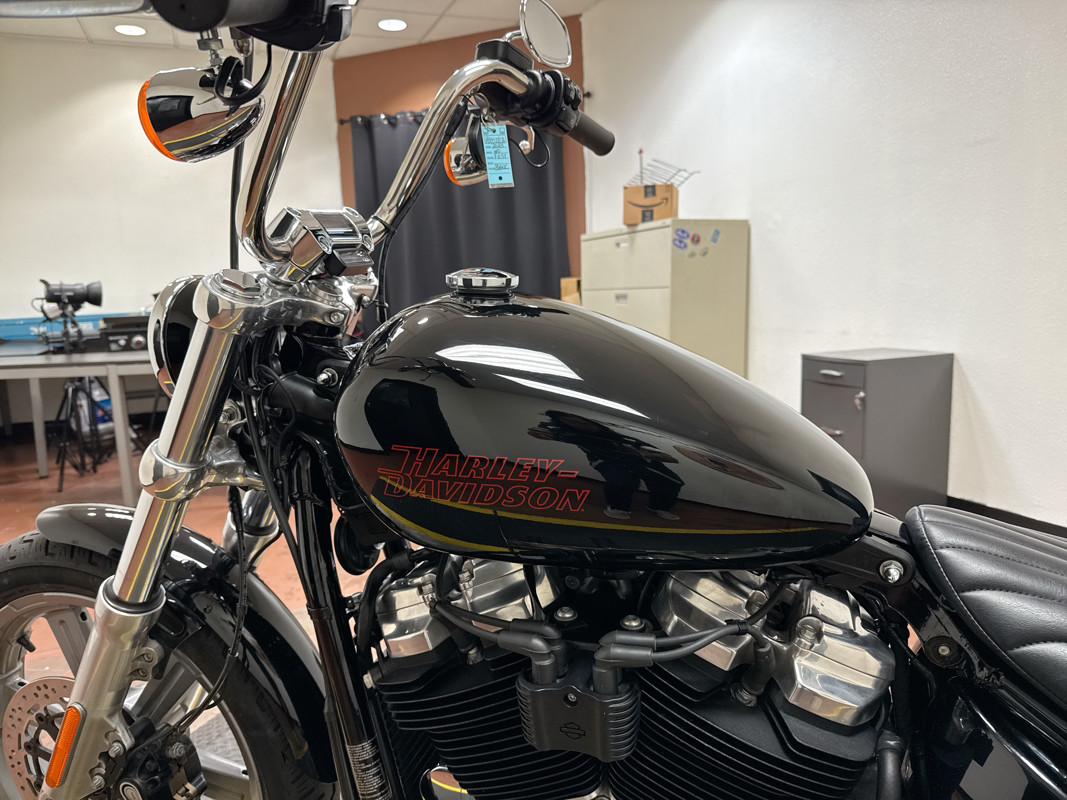 Softail® Standard