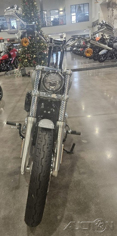 Softail® Standard