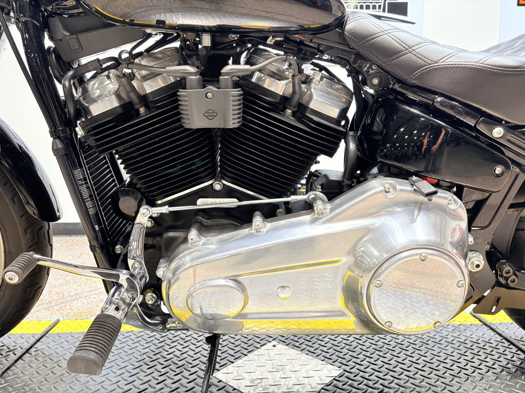 Softail® Standard