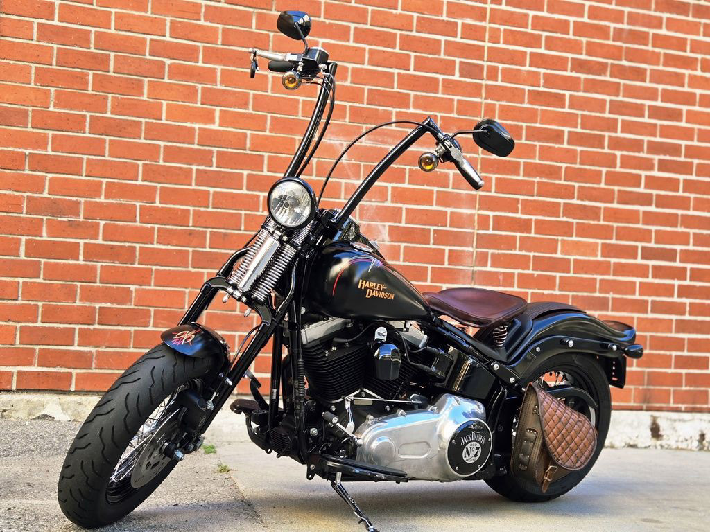 Softail® Cross Bones®