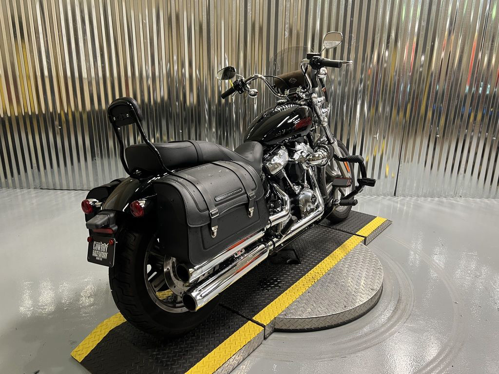 Softail® Standard