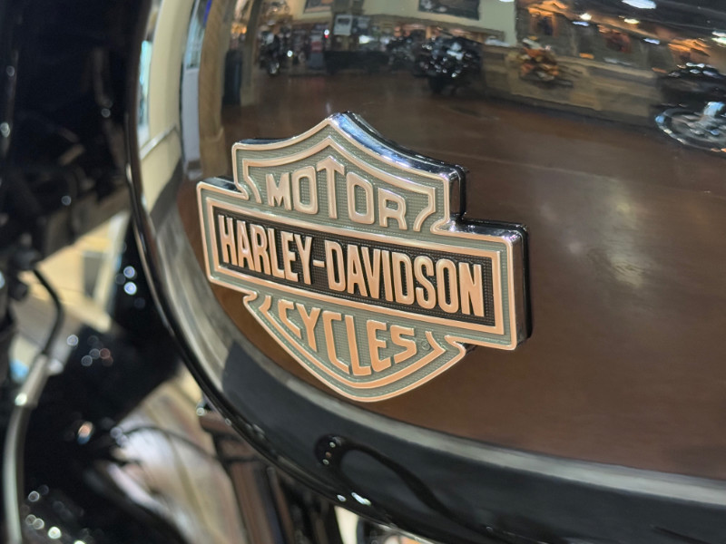 Road King® Special