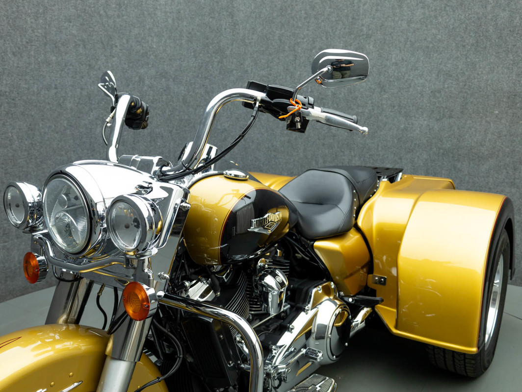 Custom Trike