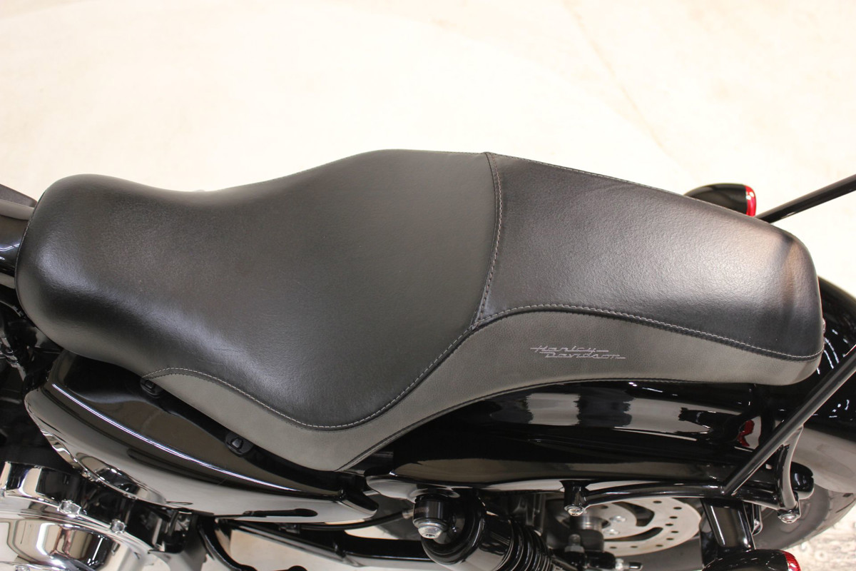 Sportster® Forty-Eight® Special