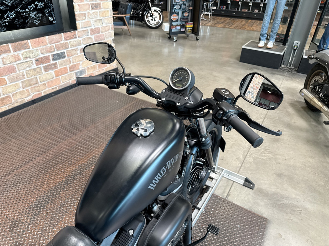 Sportster® Iron 883®