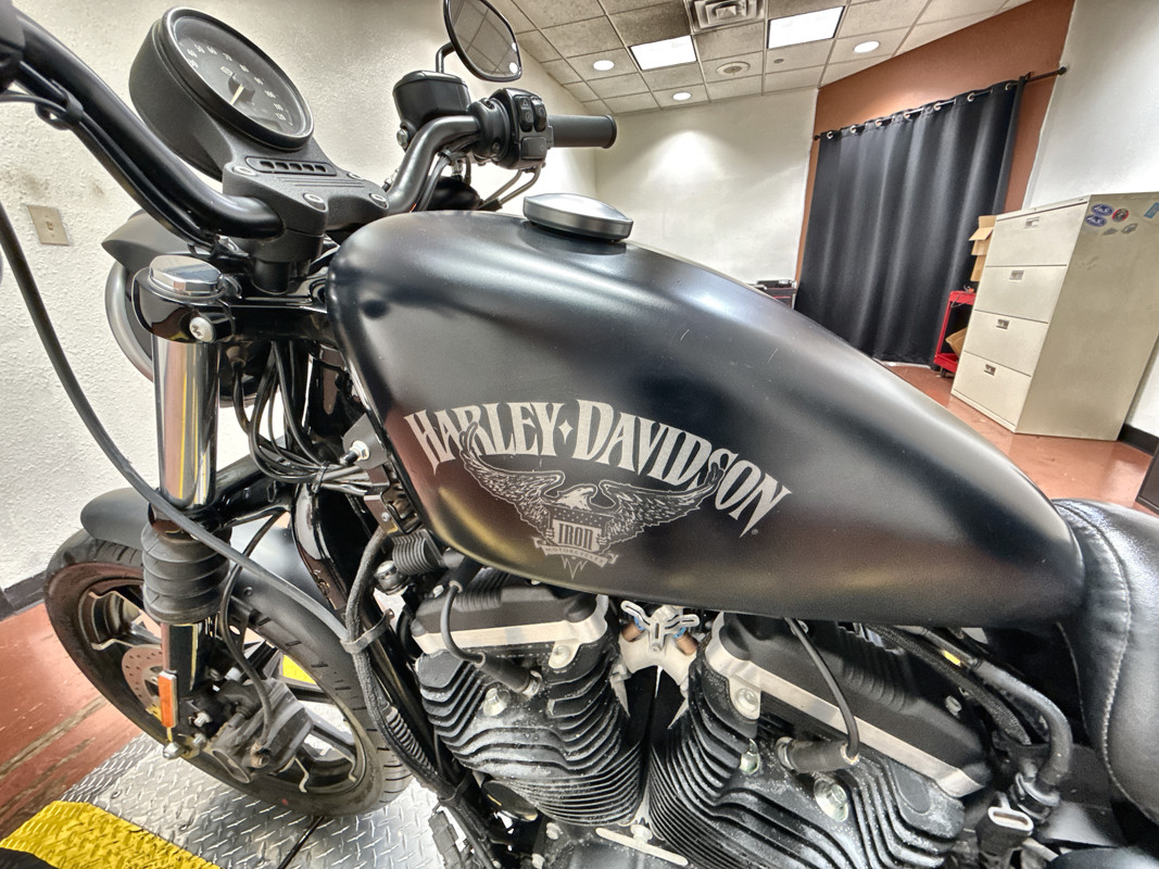 Sportster® Iron 883®