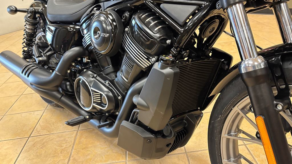 Nightster Special