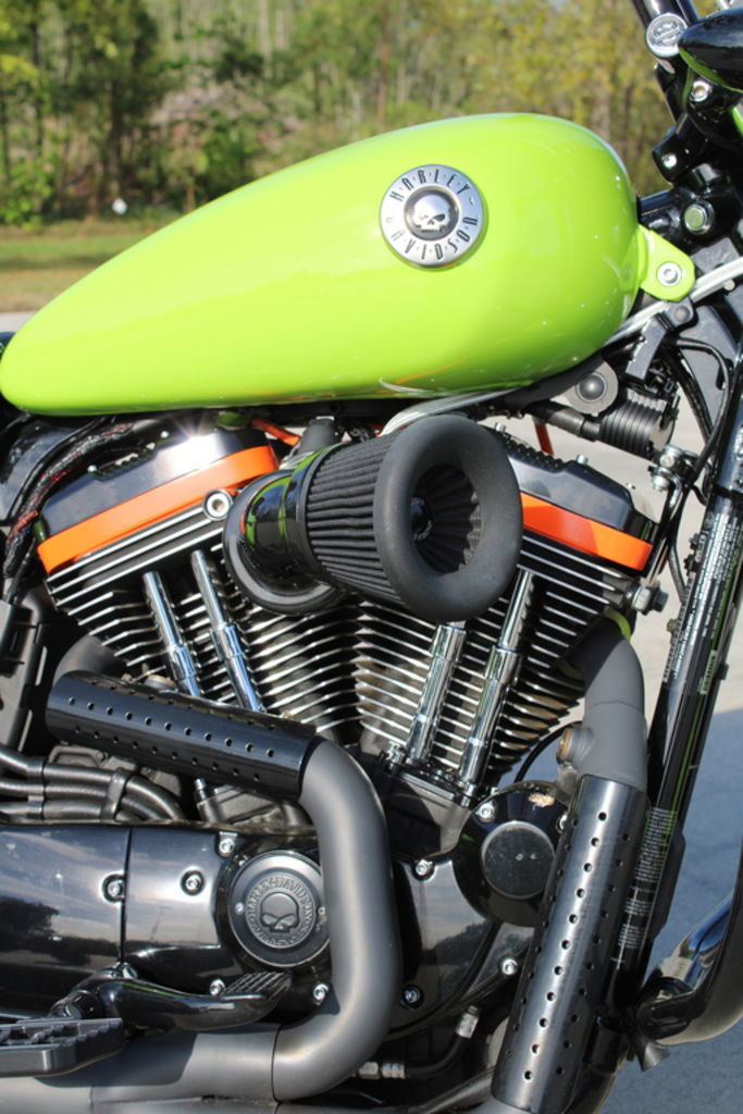 Sportster® SuperLow®