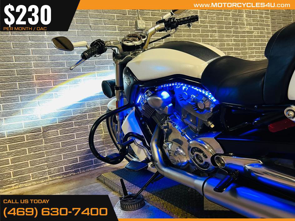 V-Rod® Muscle