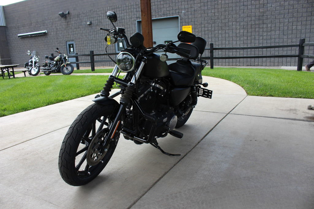 Iron 883®
