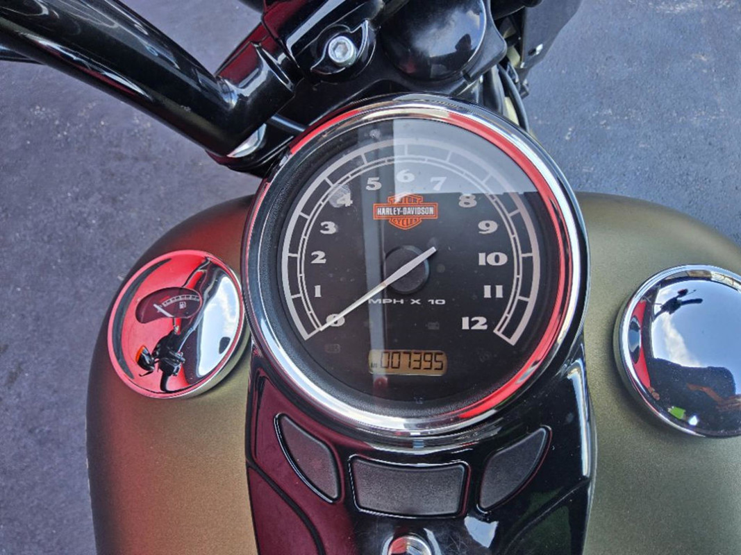 Softail® Slim® S
