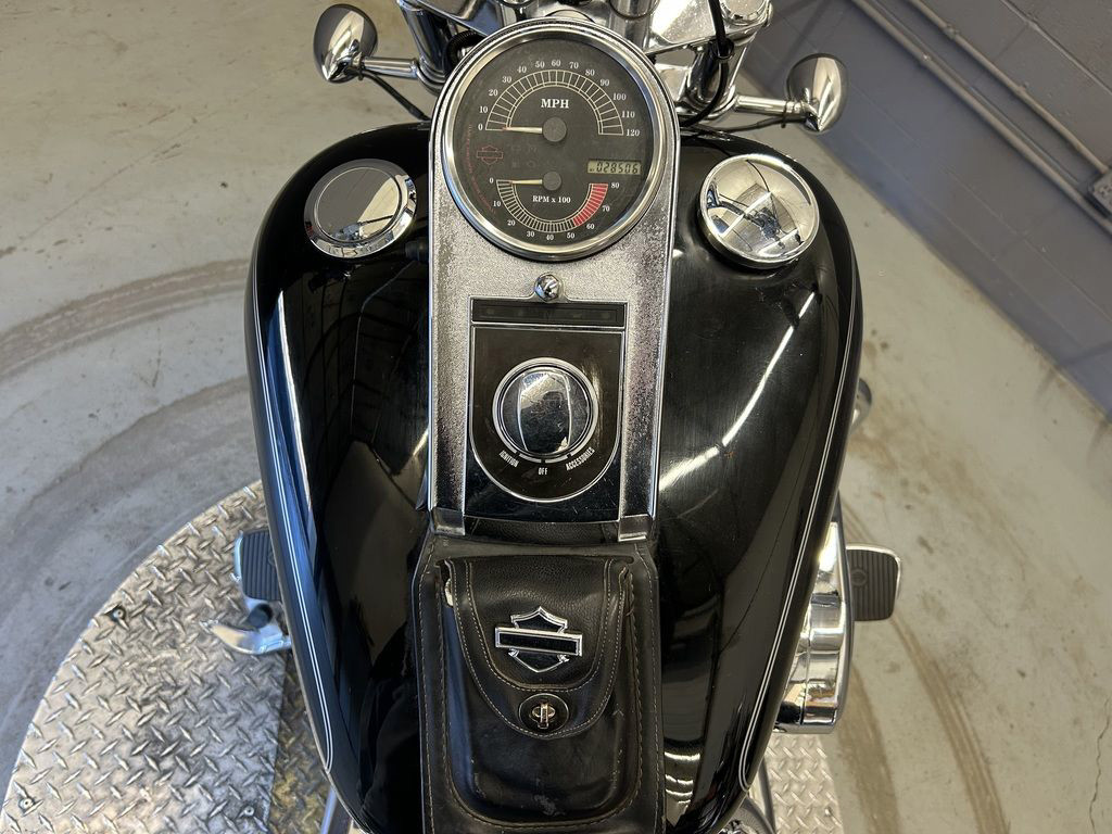 Softail® Custom