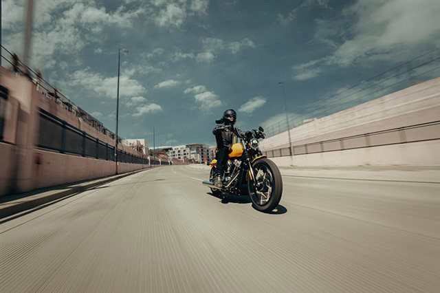 Street Bob®
