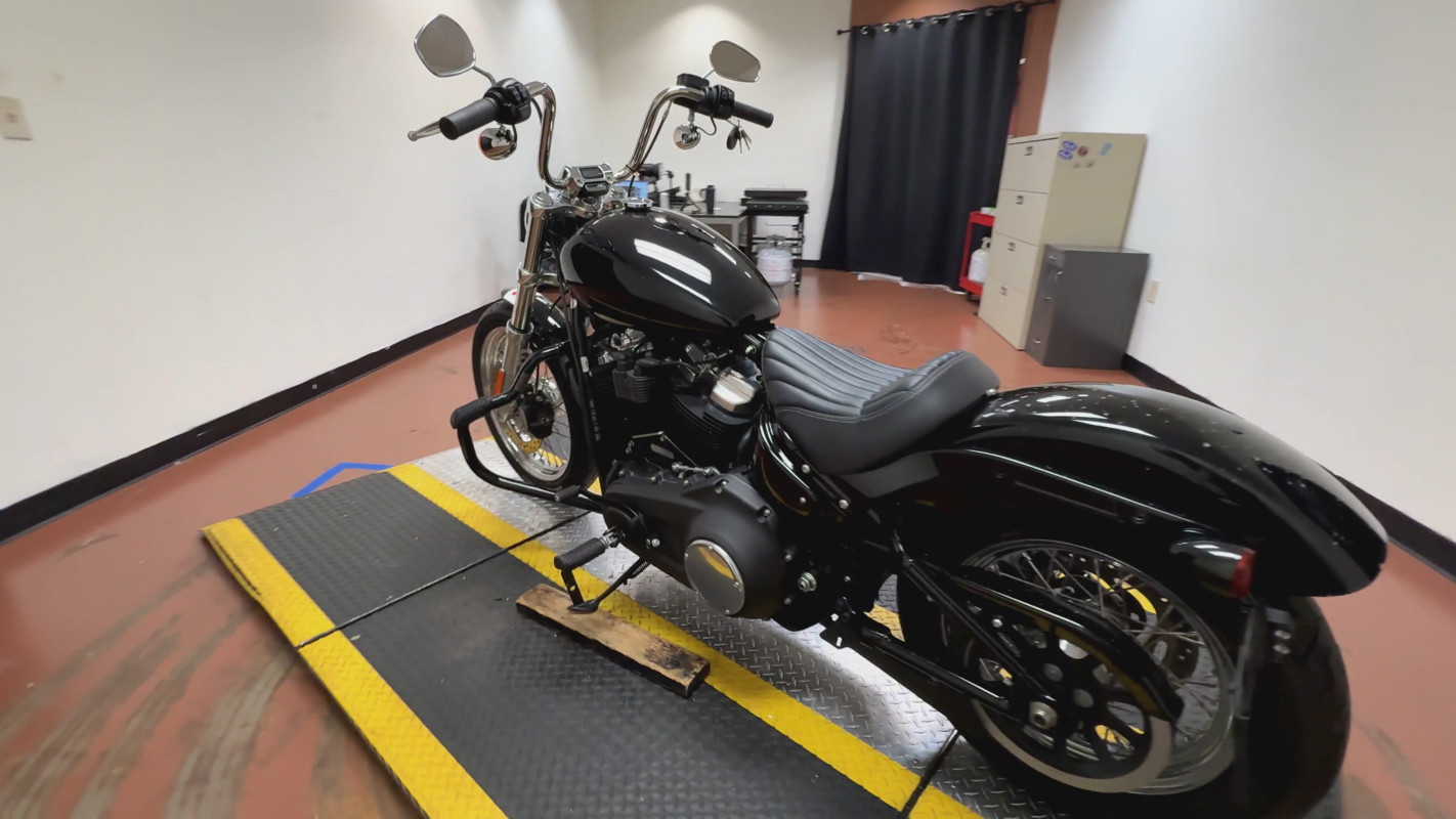 Softail® Standard