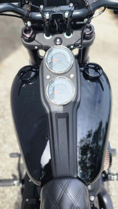 Low Rider® S