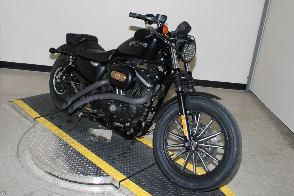 Sportster® Iron 883®