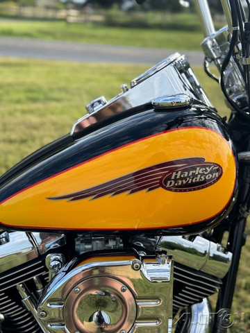 Softail® Springer® 