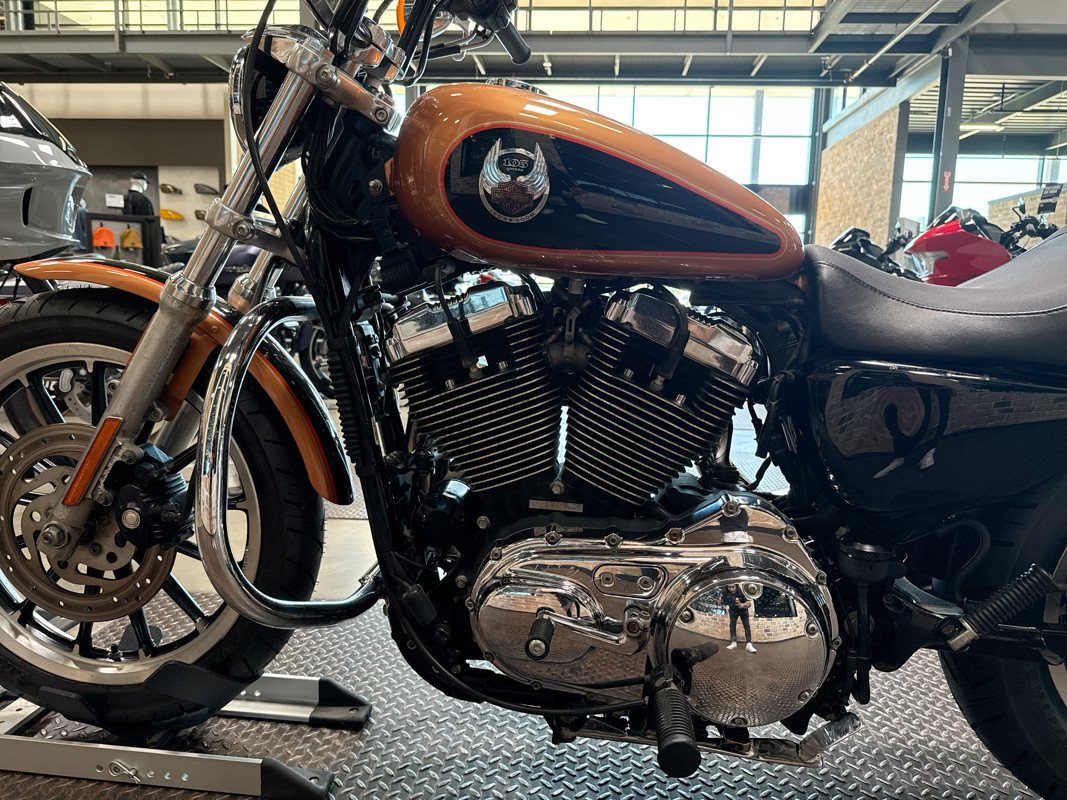 Sportster® 1200 Low Anniversary