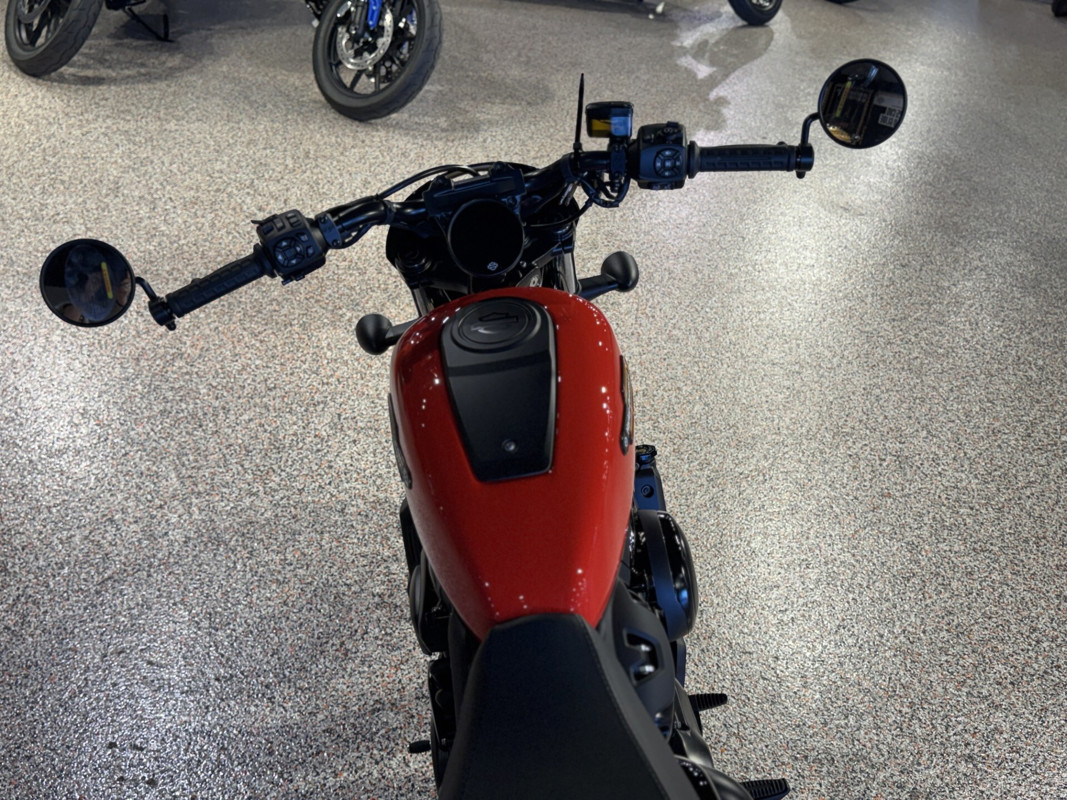 Nightster Special