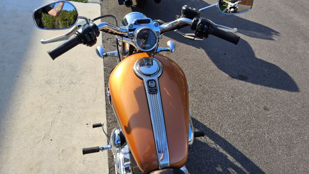 Sportster® 1200 Custom 