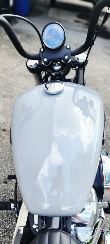 Street Bob®