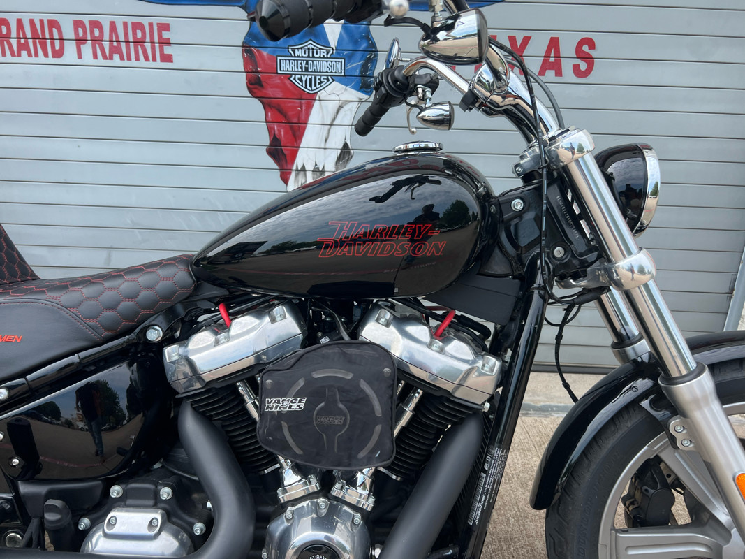 Softail® Standard