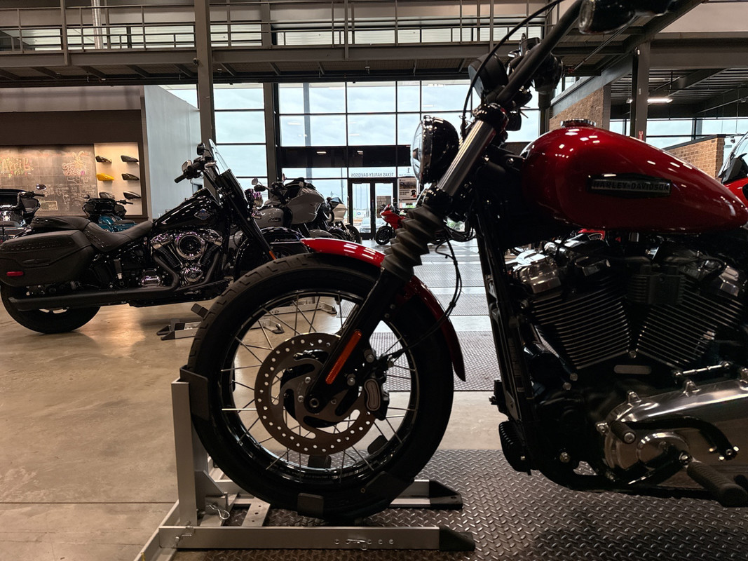 Street Bob®