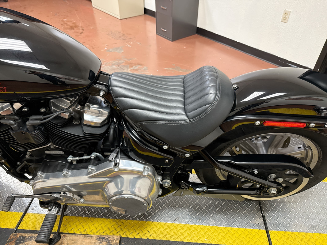 Softail® Standard