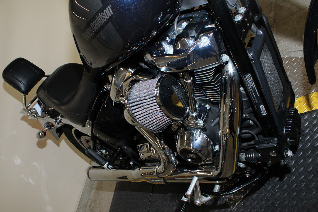 Softail® Low Rider®