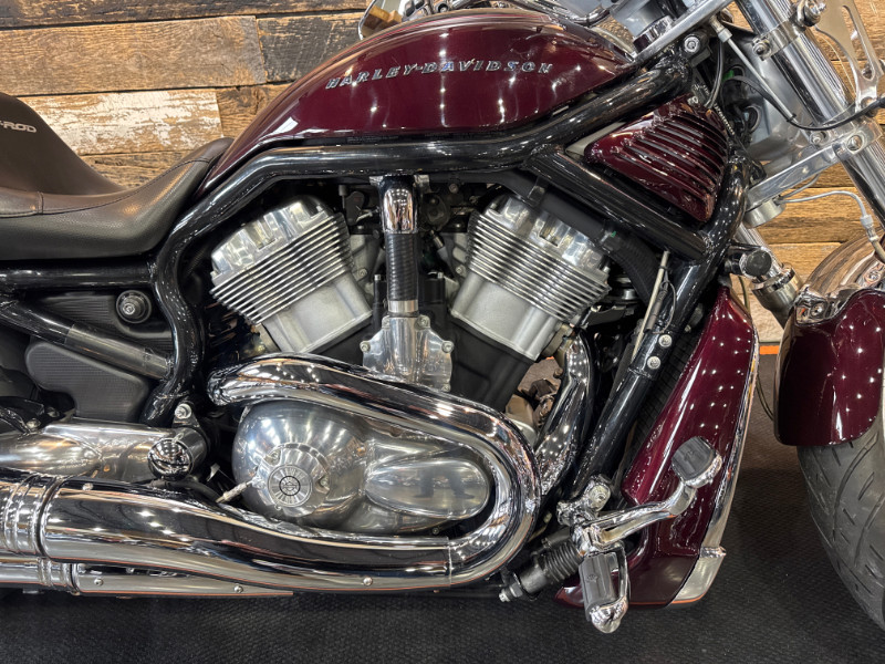 V-Rod® - Black Frame