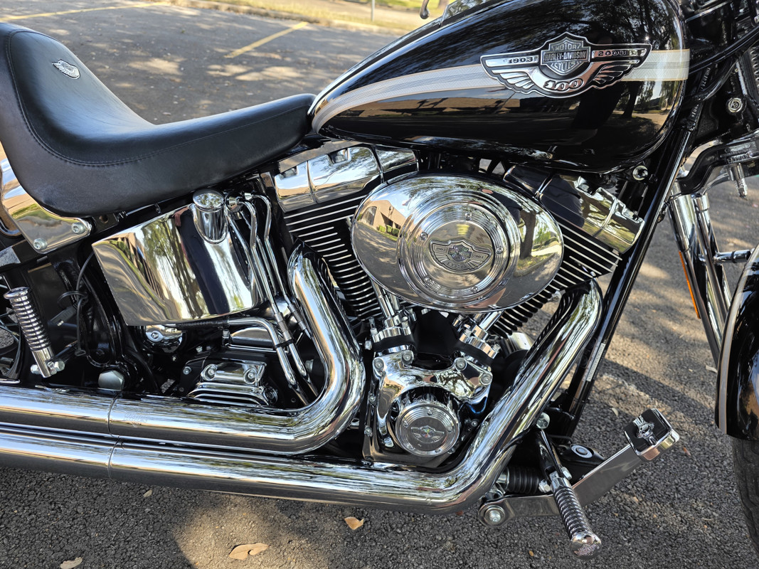 Springer® Softail® Anniversary