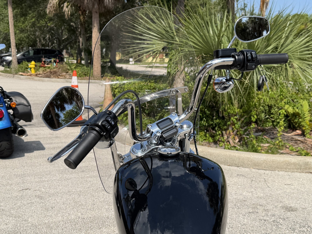 Softail® Standard