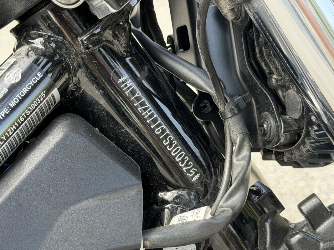 Nightster