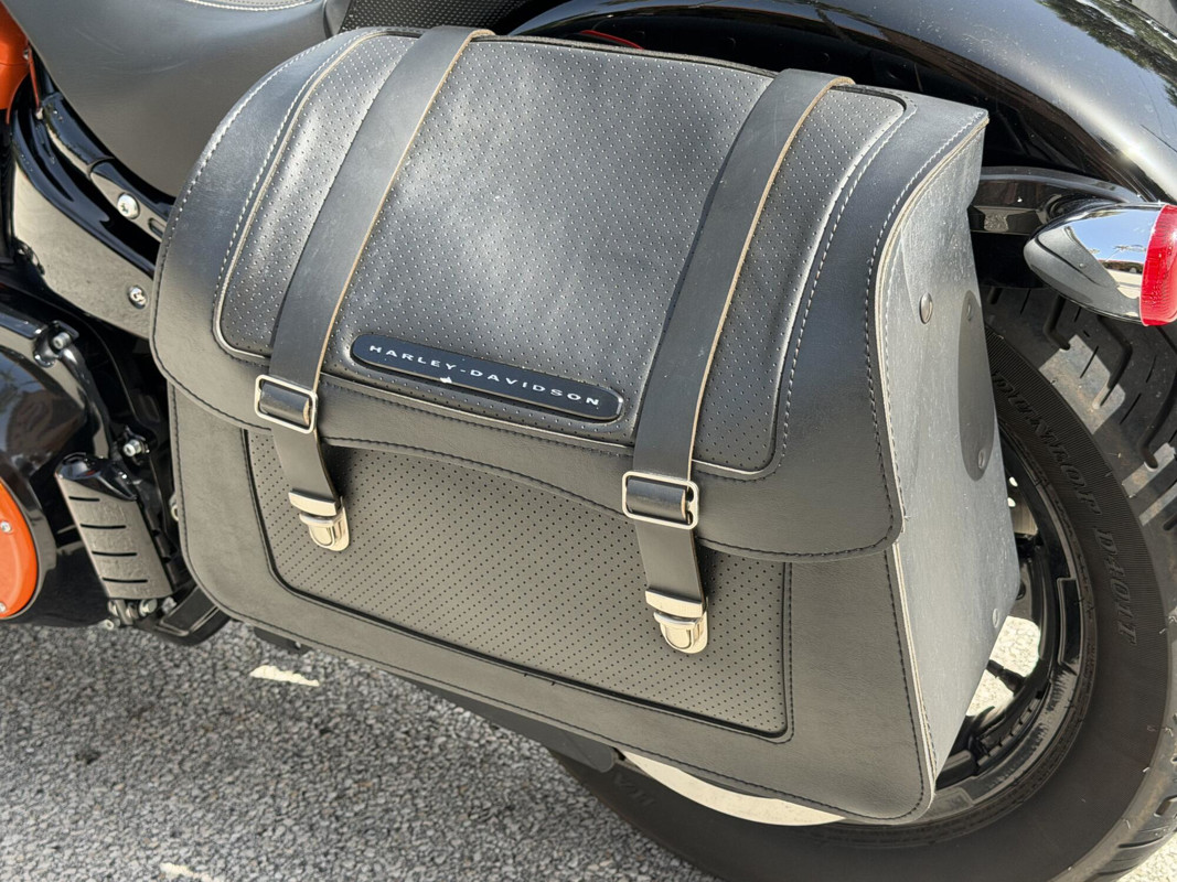 Softail® Standard