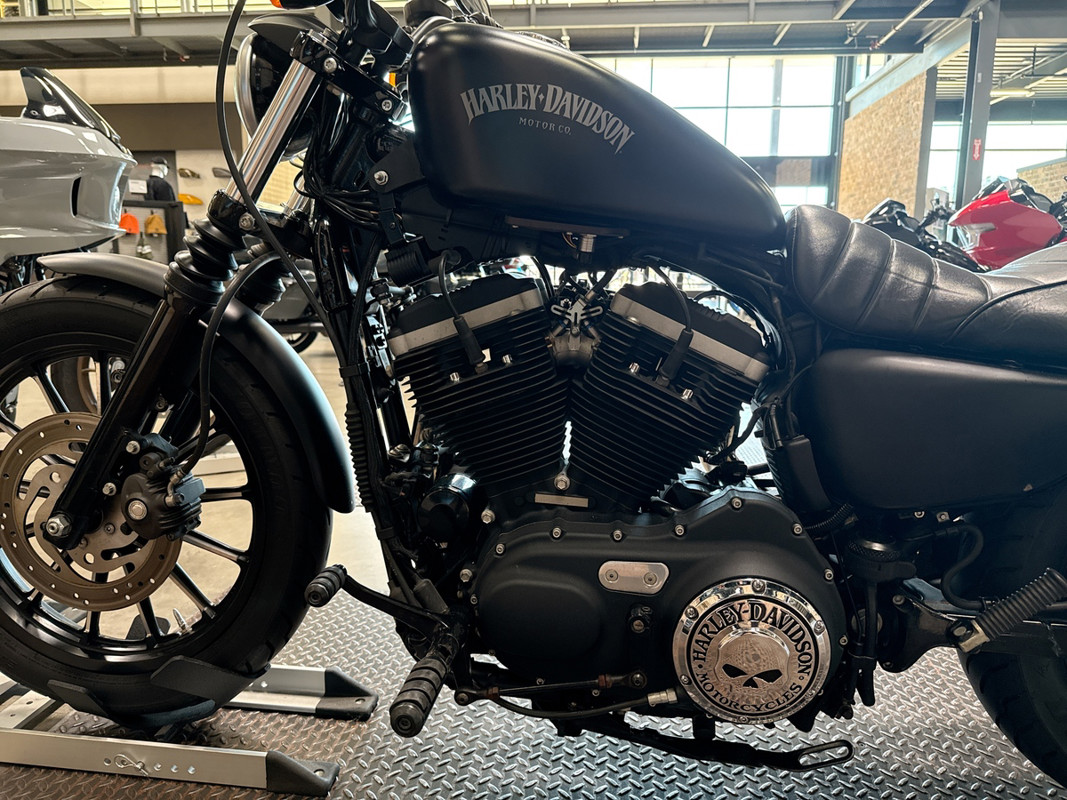 Sportster® Iron 883®